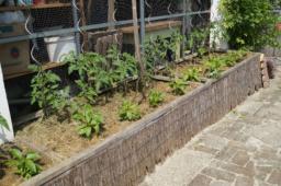 Garten Kastl 2016 (5)