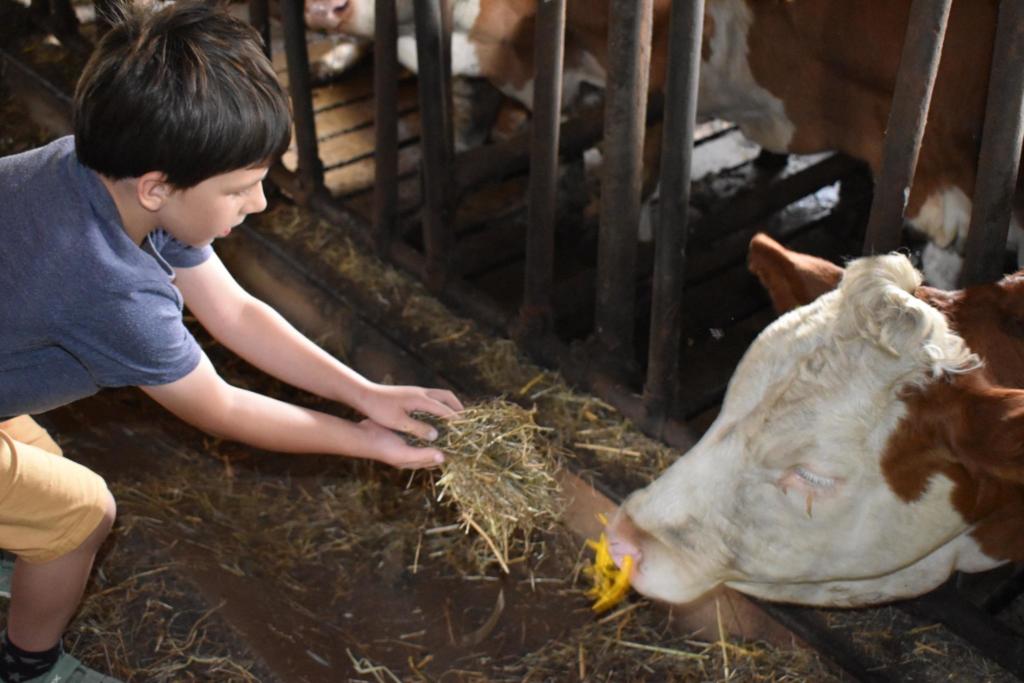 Wie kommt die Milch in die Kuh? Mein Mühlhausen