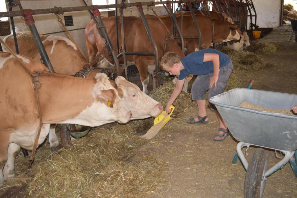 Wie kommt die Milch in die Kuh? Mein Mühlhausen