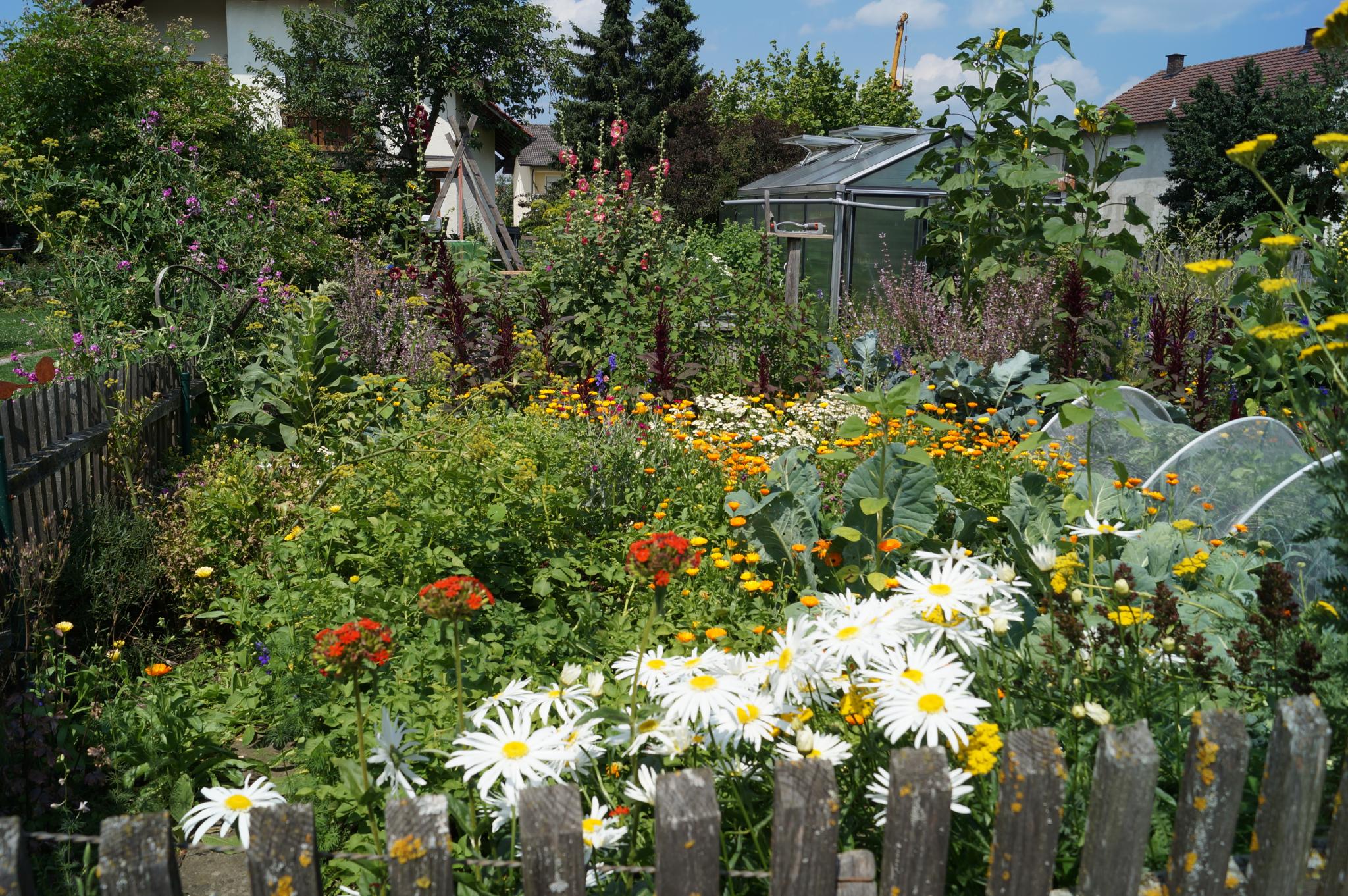 Ein Garten für die Bienen - Mein Mühlhausen