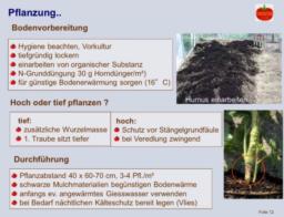 2026-03-13 JHV OGV (10)