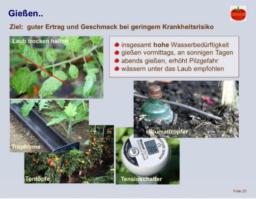 2026-03-13 JHV OGV (12)