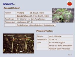 2026-03-13 JHV OGV (9)